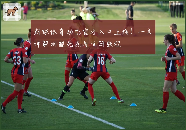 新球体育动态官方入口上线！一文详解功能亮点与注册教程
