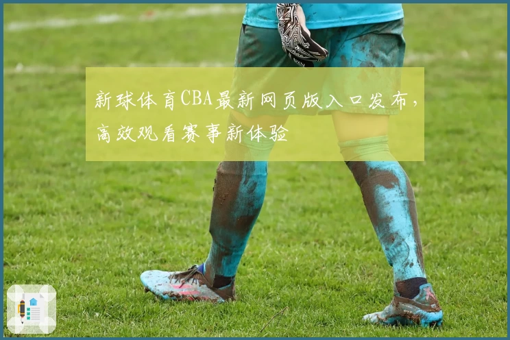 新球体育CBA最新网页版入口发布，高效观看赛事新体验