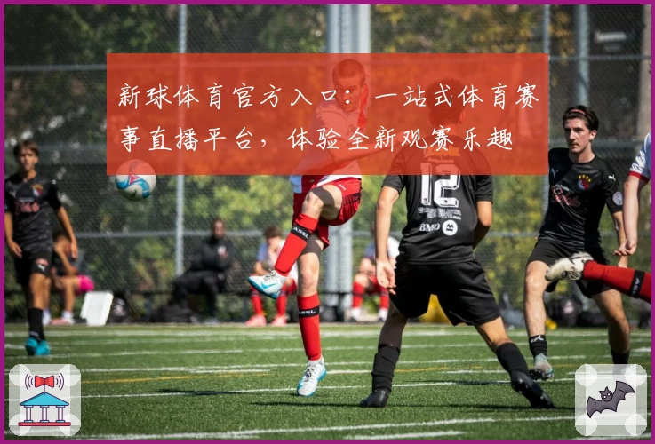 新球体育官方入口：一站式体育赛事直播平台，体验全新观赛乐趣