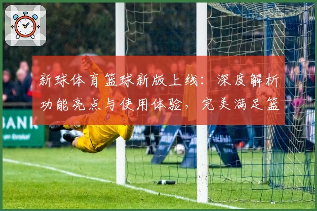 新球体育篮球新版上线：深度解析功能亮点与使用体验，完美满足篮球迷多样需求