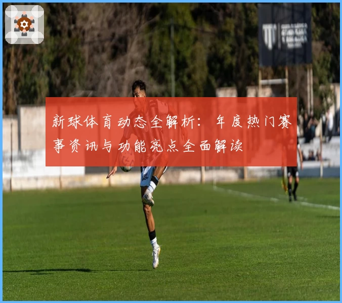 新球体育动态全解析：年度热门赛事资讯与功能亮点全面解读