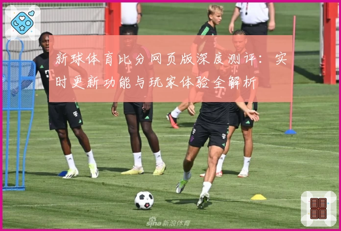 新球体育比分网页版深度测评：实时更新功能与玩家体验全解析