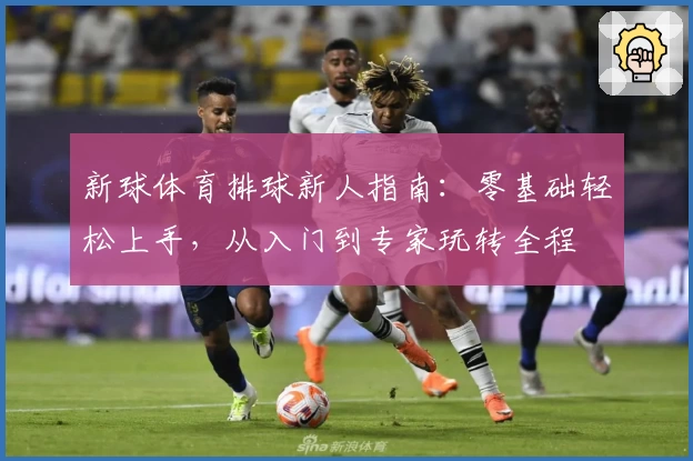 新球体育排球新人指南：零基础轻松上手，从入门到专家玩转全程