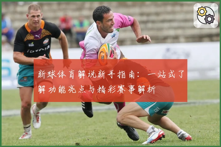 新球体育解说新手指南：一站式了解功能亮点与精彩赛事解析