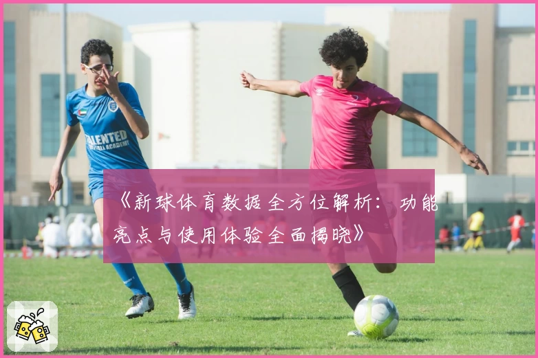 《新球体育数据全方位解析：功能亮点与使用体验全面揭晓》